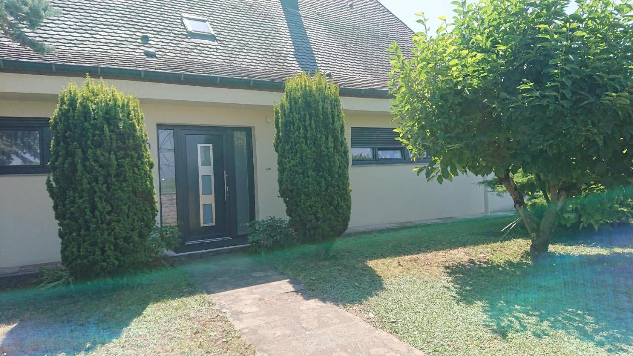 Logement Entier: Route Des Vins.Wintzenheim公寓 外观 照片